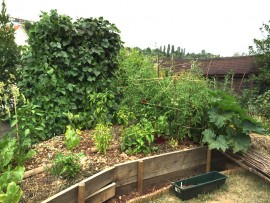 Potager sur butte Permaculture
