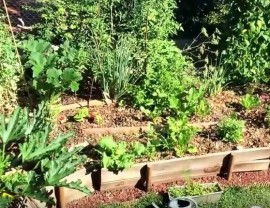 Présentation Potager sur butte Permaculture