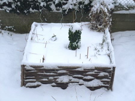 Potager carré sous la neige en 2013